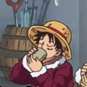 Luffy leitor